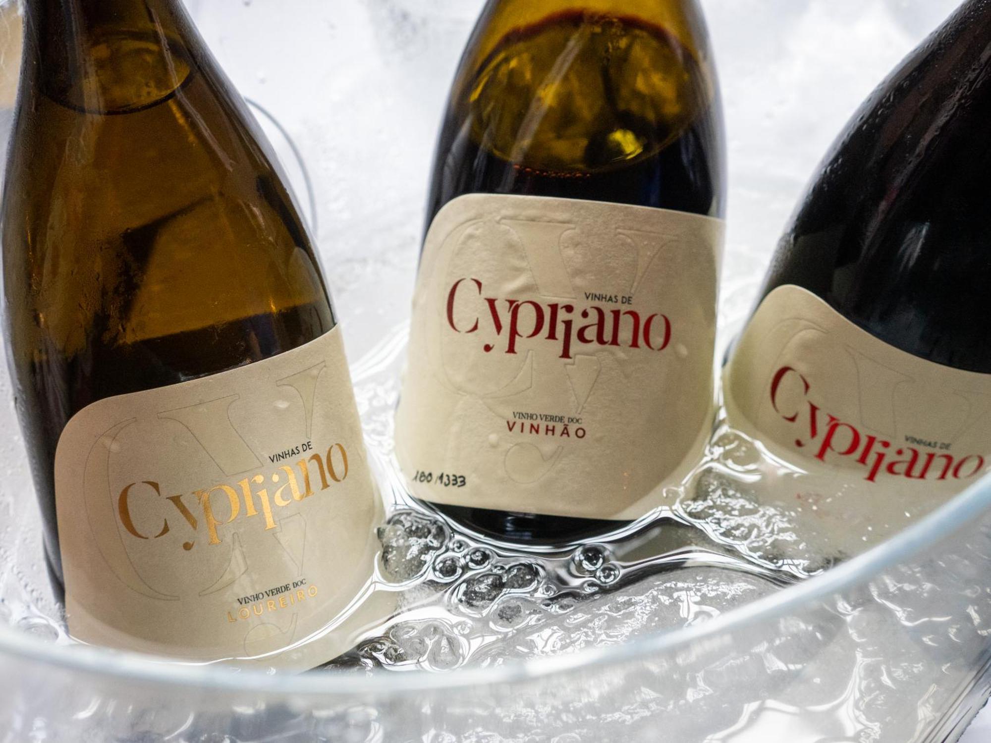 Quinta De Cypriano - Wine & Nature Ponte da Barca Dış mekan fotoğraf