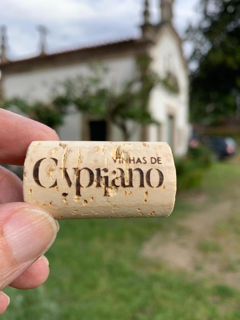 Quinta De Cypriano - Wine & Nature Ponte da Barca Dış mekan fotoğraf