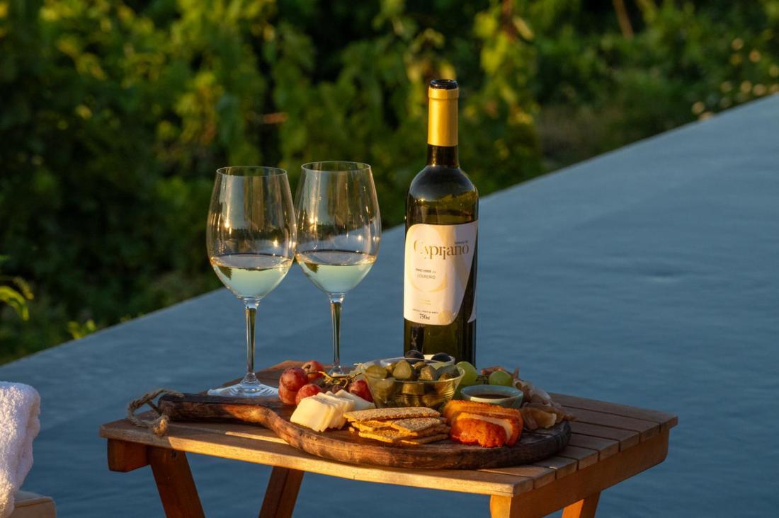 Quinta De Cypriano - Wine & Nature Ponte da Barca Dış mekan fotoğraf